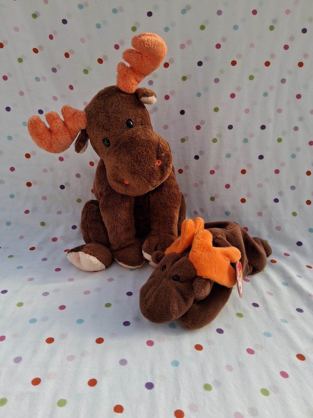 Ty Chocolate The Moose Buddy & Beanie Duo